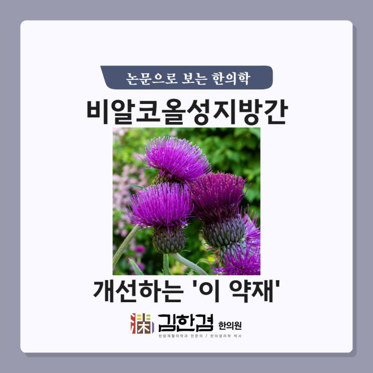  비알코올성지방간을 개선하는 한약재, 대계