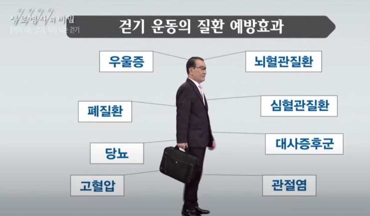  운동챌린지 15일차, 생로병사의 비밀 걷기편(1)