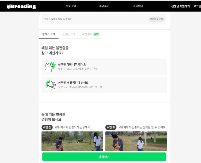 사진 10