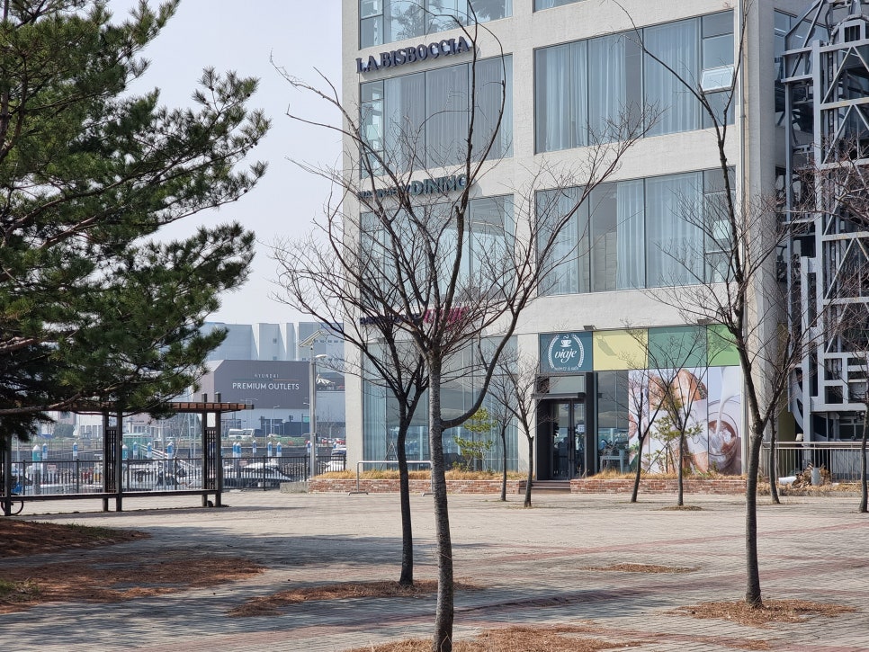 비아제 사진 2