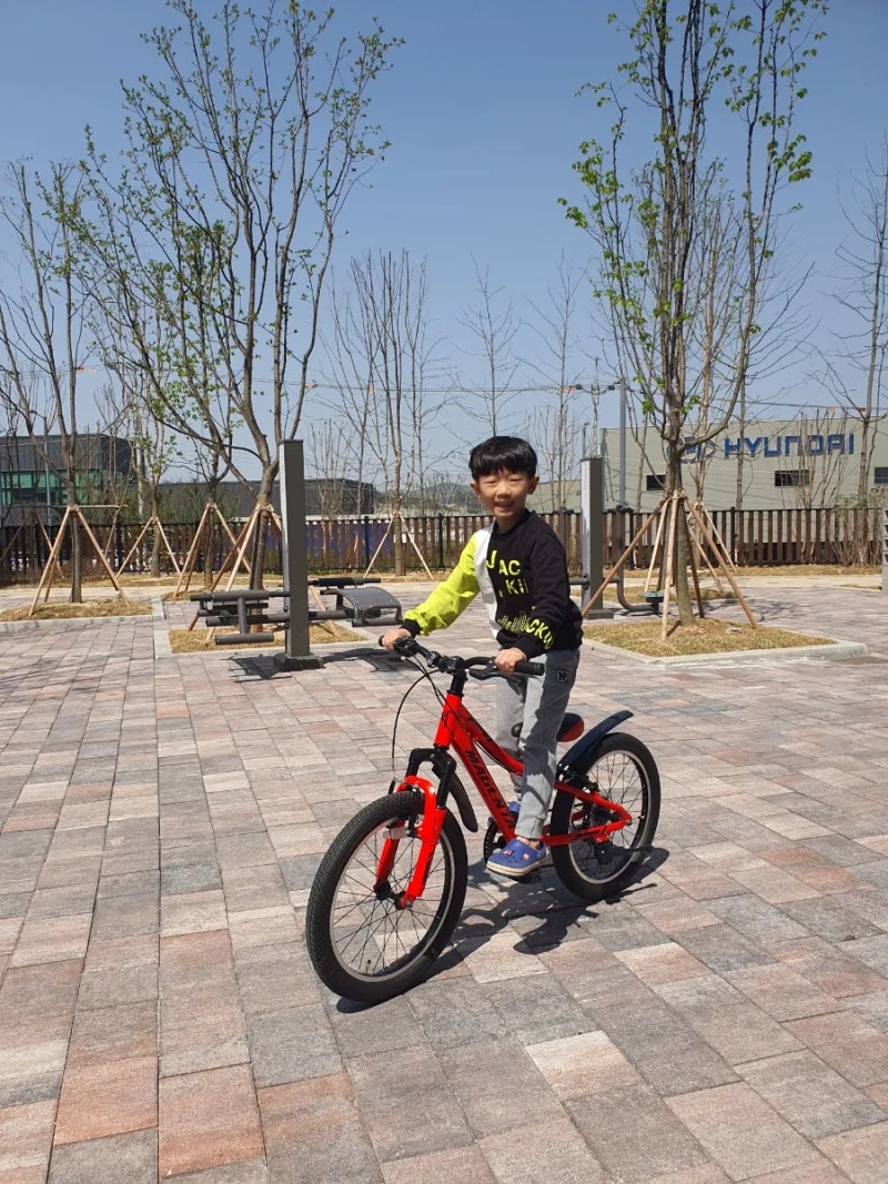 뮤트 마젠타 20인치 알루미늄 MTB 자전거 7단 기어 초등 1학년 어린이 자전거 완조립