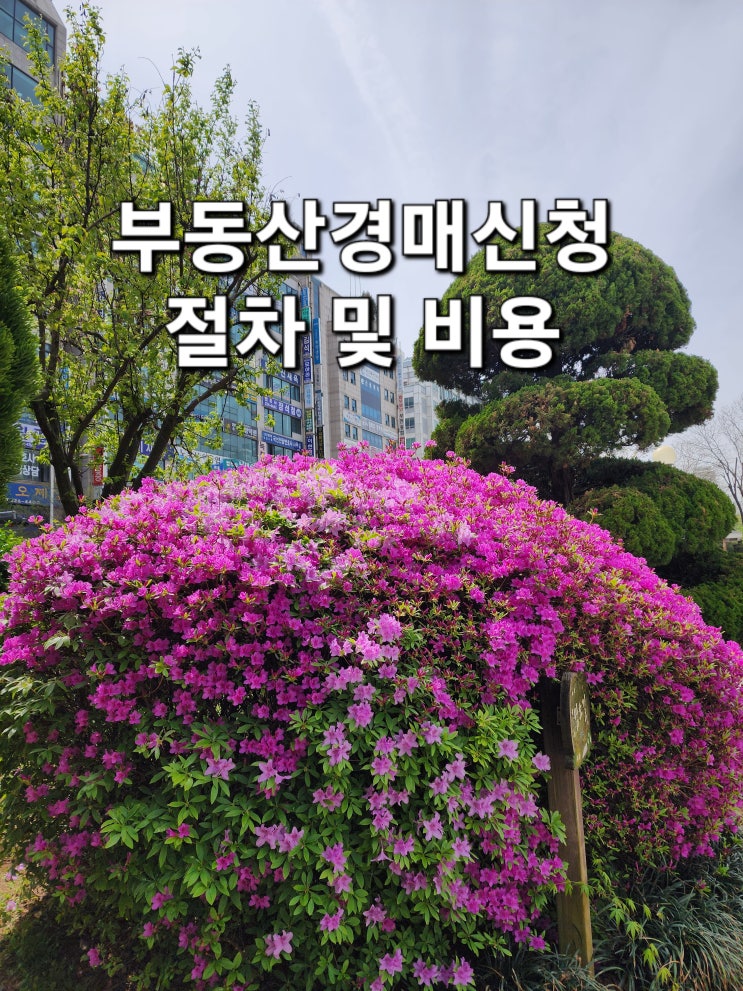  부동산경매신청(강제.임의) 절차, 비용에 관한 법무사의 도움이 필요하면(부천, 인천, 김포)