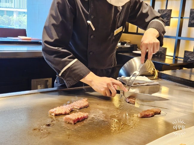  힐튼 오사카 우메다 호텔 덴카 철판요리 가족여행 런치