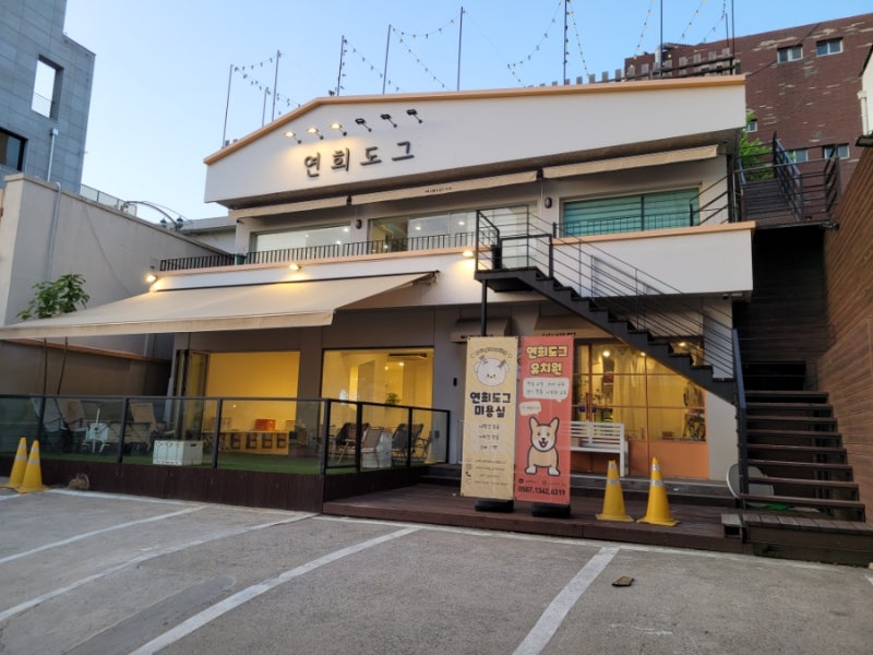 사진 8