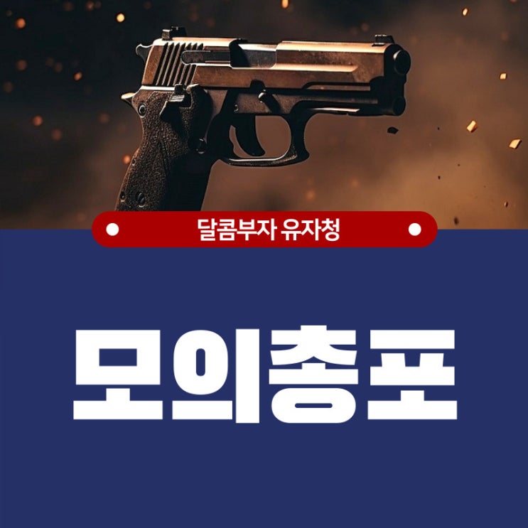 <b>모의총포</b> 뜻 <b>이윤진</b>이 자진신고한 이범수 <b>모의총포</b>의 종류는... 
