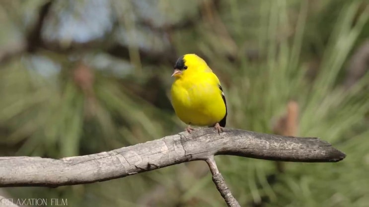  화훼장식산업기사과정평가형 화훼장식산업기사 취득자격 고졸자도 혼자서 독학으로 최단기간 완성한 후기