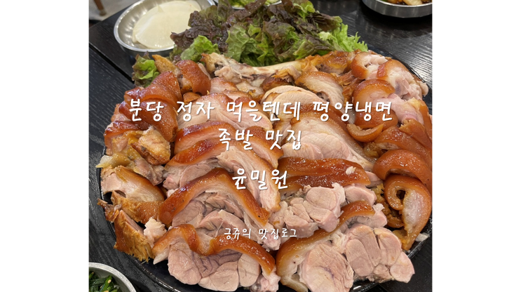  분당 정자 먹을텐데 평양냉면 족발 맛집 윤밀원 재방문 내돈내산