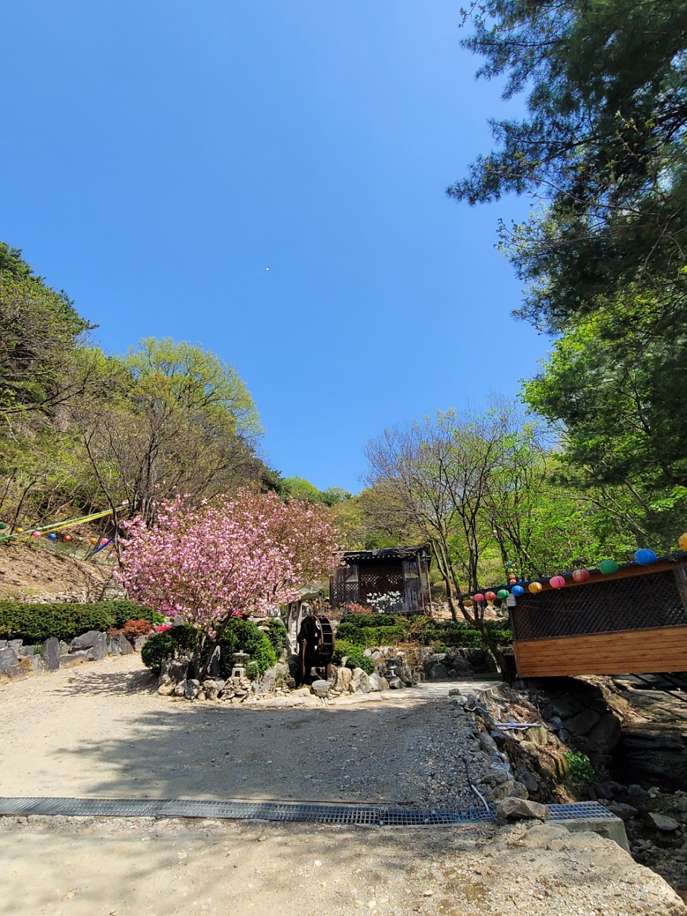 바위골 사진 3