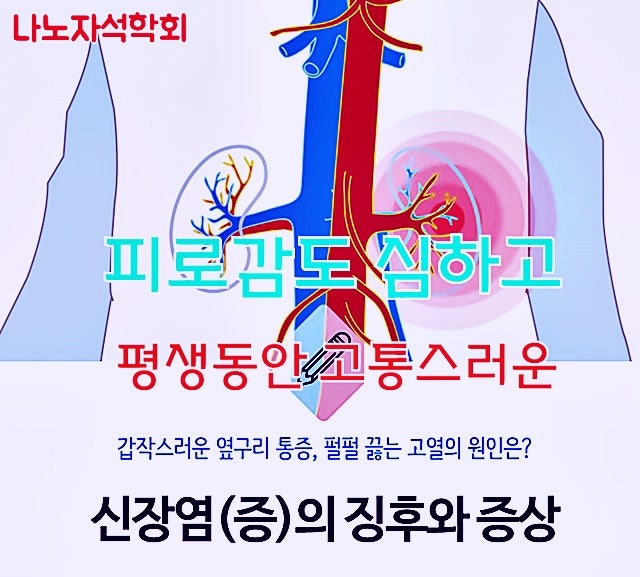 불치성 질환으로 신부전이나 혈액투석 생명까지 위협하고 단축시키는 신장염의 완치를 위....