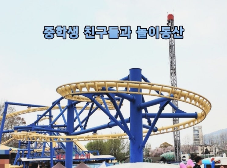 <b>중학생 친구</b>들끼리 놀만한 곳-어린이대공원 놀이동산(가격... 