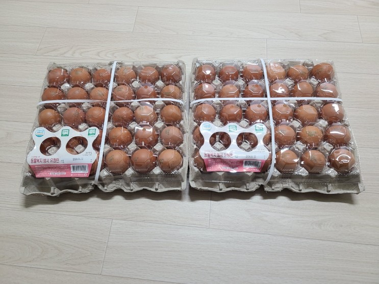 알리익스프레스 1000원딜 성공 후기 (파인애플, 계란, 오렌지, 망고)