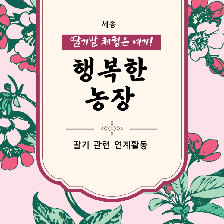  세종  행복한 농장 딸기체험 및 연계활동