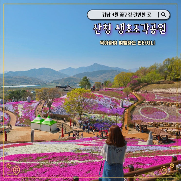  경남 산청 생초조각공원 꽃잔디 축제(기간, 입장료, 개화상황)