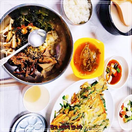  생방송오늘저녁 손국시 주왕산 청송 주왕산명일식당 맛집 노포의손맛 95세 할머니 콩가루 칼국수 손국수 소개 산나물한상 산채정식 리뷰 후기 평점