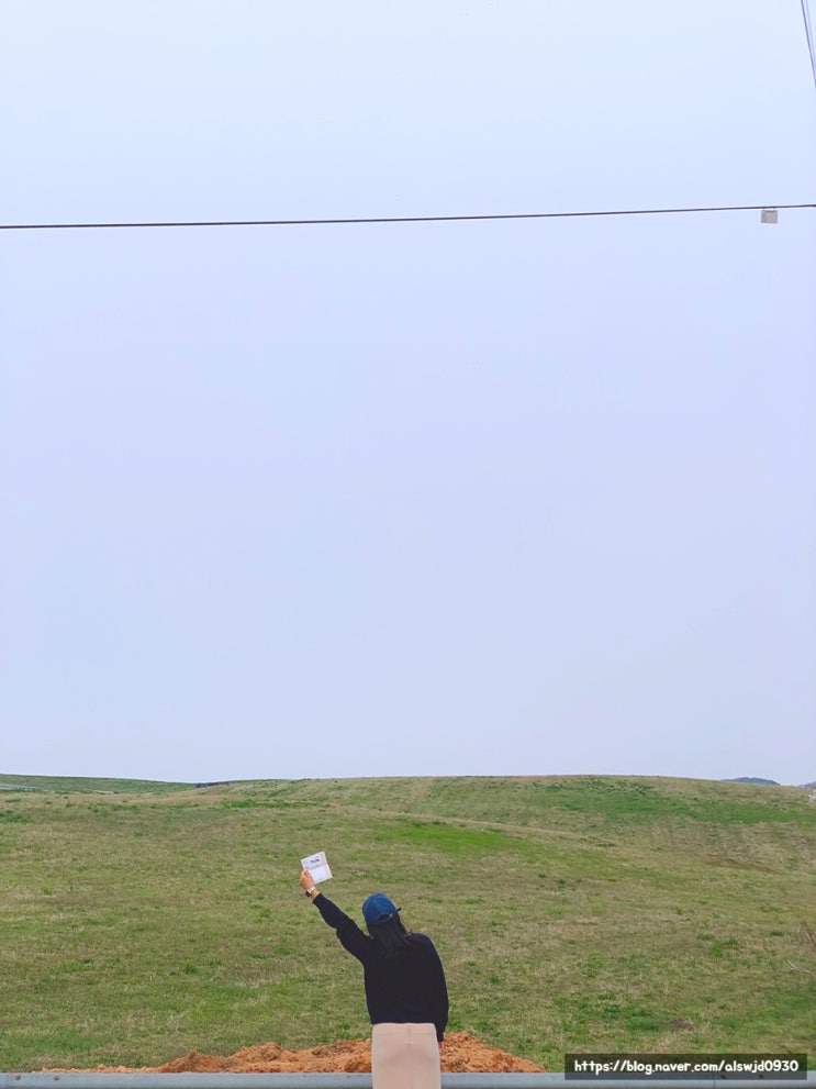  [충남 서산여행] 한국의 알프스, 서산한우목장 | 백제의 미소, 용현리 마애여래삼존상