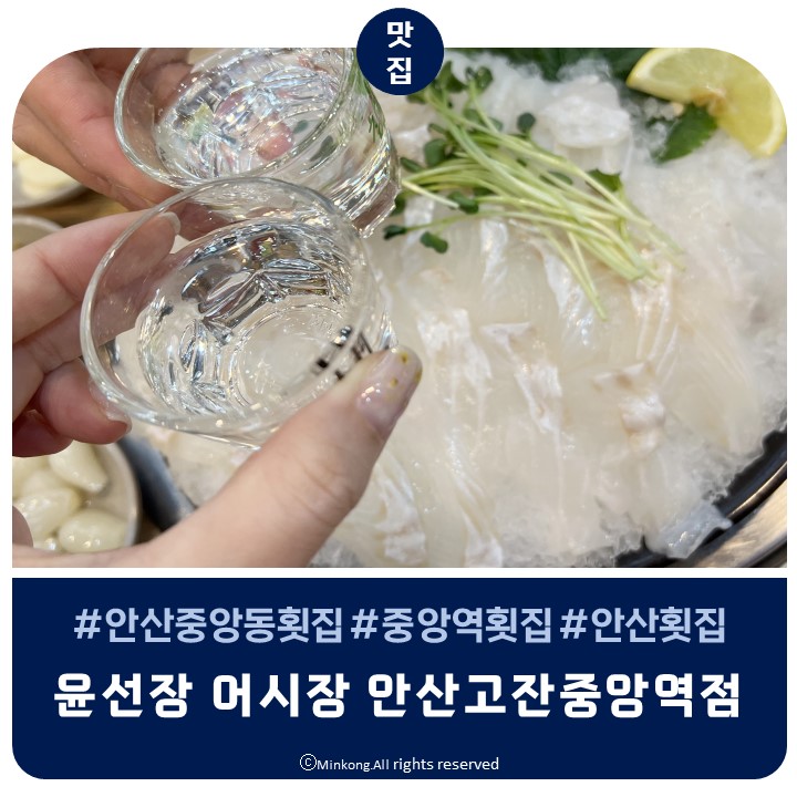  안산 고잔동 윤선장어시장 - 제철 봄 도다리 회 독도새우도 있는 횟집