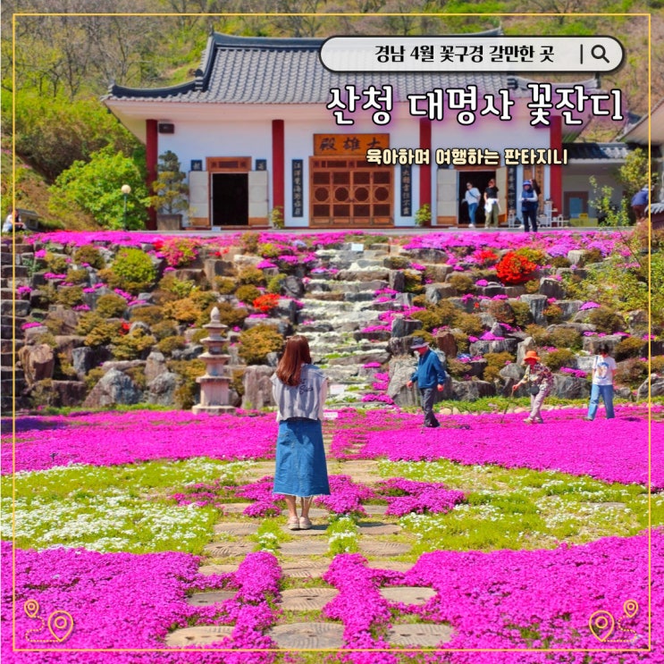  경남 산청 대명사 꽃잔디 - 4월 꽃구경 가볼만한 곳(개화상황, 주차)