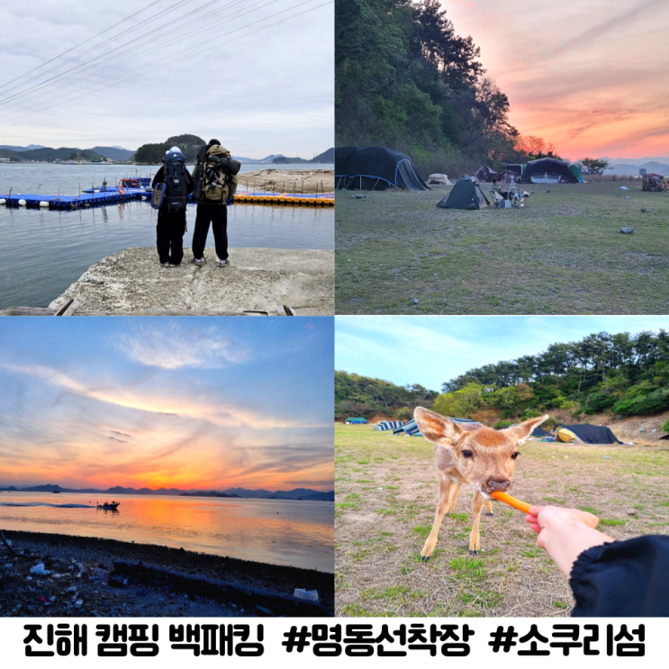  창원 진해 소쿠리섬 명동선착장 주차 사슴 매점 1박2일 노지캠핑 백패킹 정보