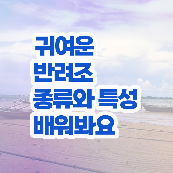  반려조관리사 , 반려조관리사 자격증 취득한 방법과 후기 정리했어요