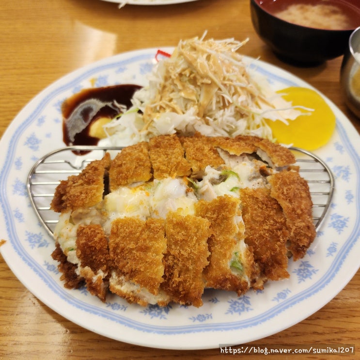 명동 맛집 명동돈가스 코돈부루 로스카츠 돈까스 내돈내산 후기 명동 맛집 명동돈가스 코돈부루 로스카츠 돈까스 내돈내산 후기