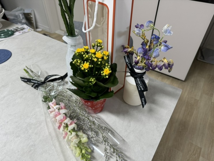 철산역 꽃집 "그마음, 꽃" 에서 꽃 + 화분 샀어요!