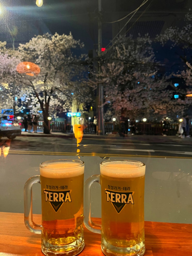  벚꽃뷰와 맥주 한잔 할 수 있는 우이천 근처 분위기 호프집 '히읗'