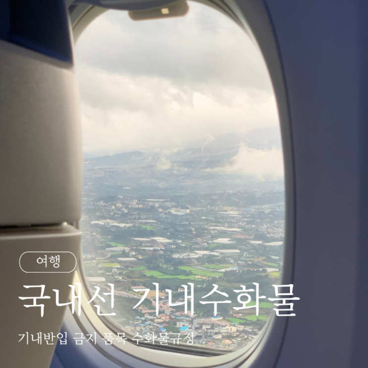  국내선 기내수화물 기내반입 금지품목