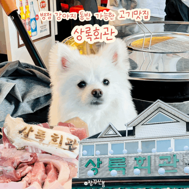 병점 강아지 동반 가능한 고기맛집 상록회관 연탄구이 병점점 병점 강아지 동반 가능한 고기맛집 상록회관 연탄구이 병점점