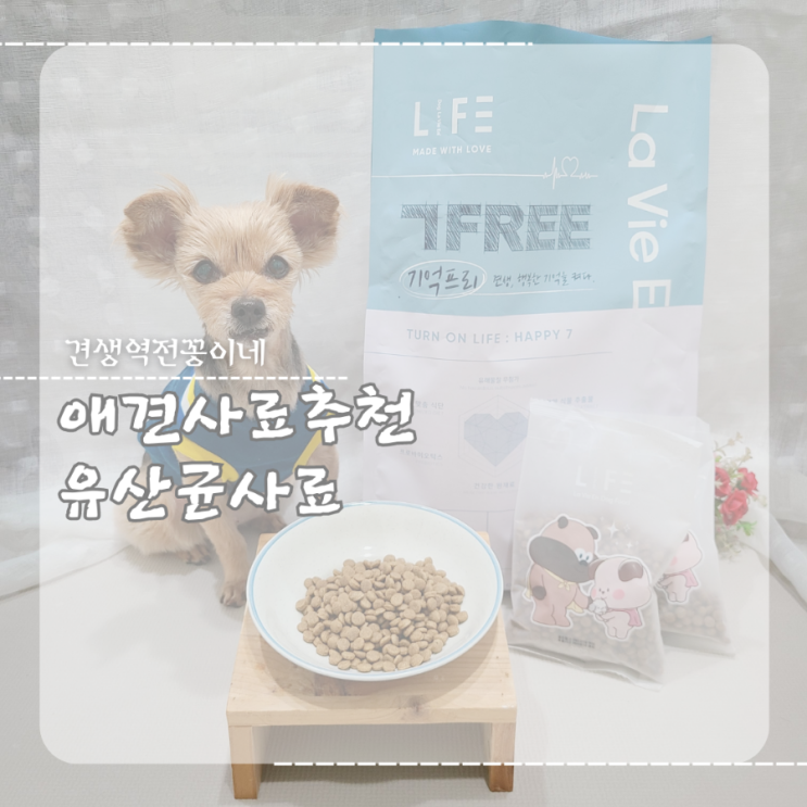  애견사료 추천 강아지 장건강 면역력 펫케어 유산균사료
