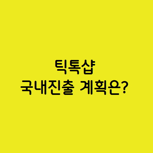  틱톡샵 TikTok Shop 국내진출 계획은?