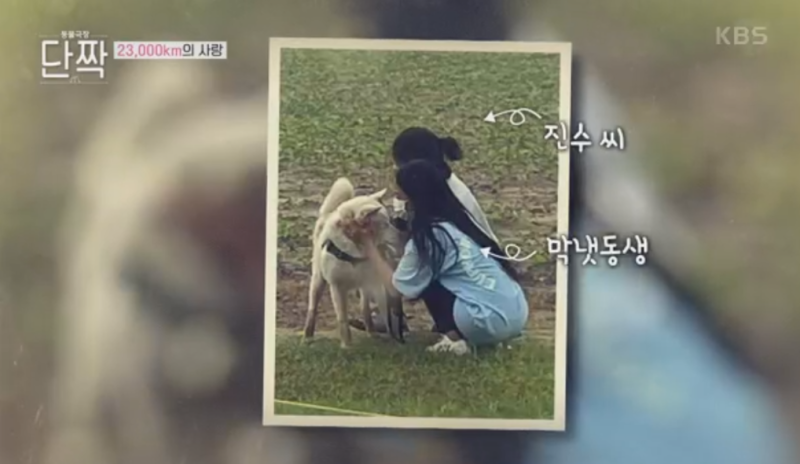 사진 2