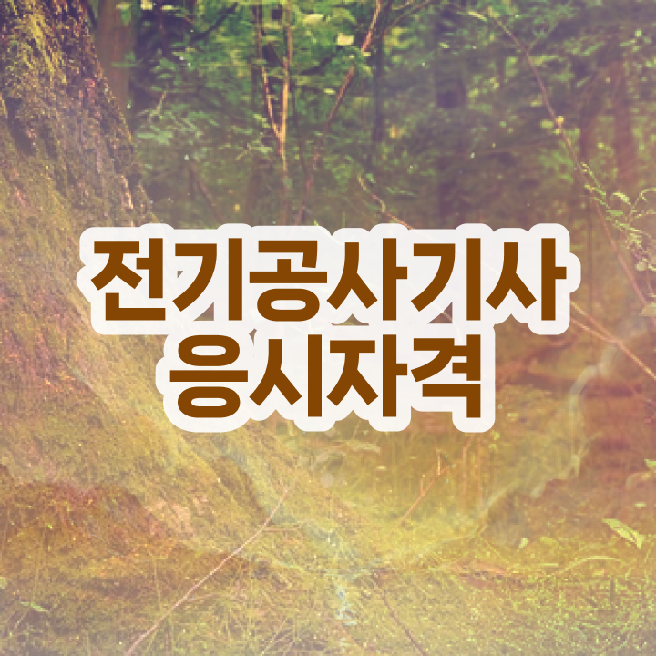  전기공사기사 자격증 전기공사기사 시험응시조건 관련학과 졸업장, 경력없어도 학은제로 쉽게 갖춘 후기