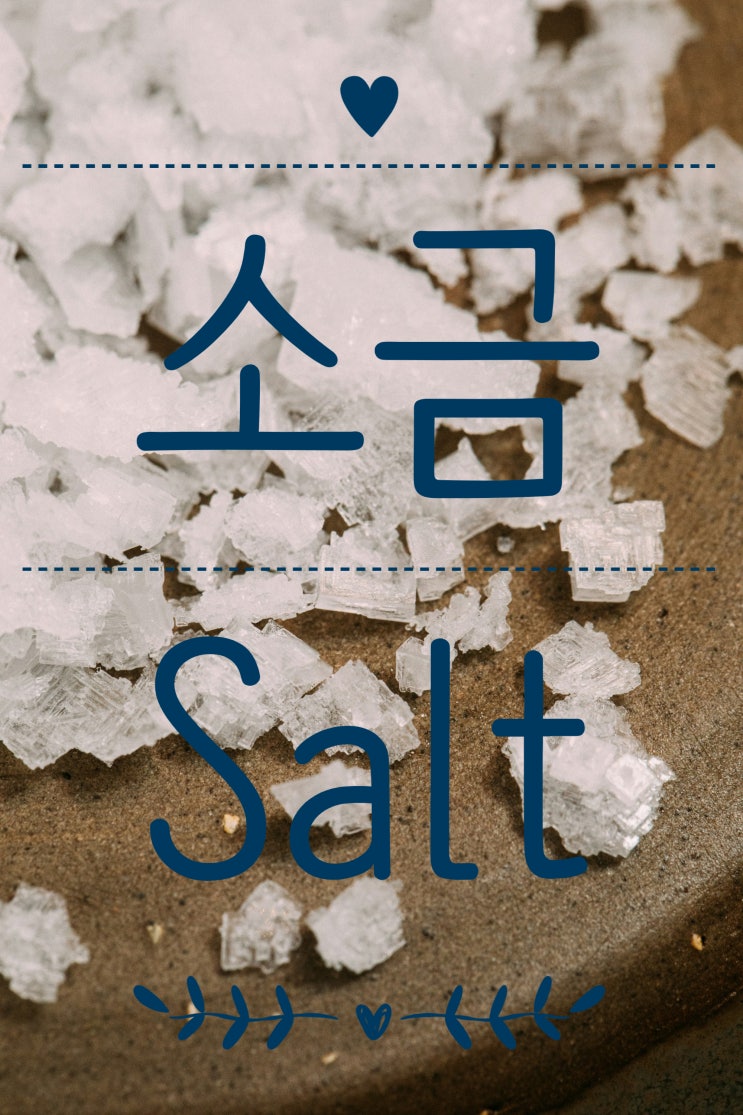  어원/유래/의미 첫번째이야기 - 소금[Salt]에서 시작된 단어들