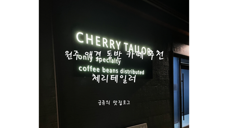  원주 애견 동반 카페 추천 체리테일러 내돈내산
