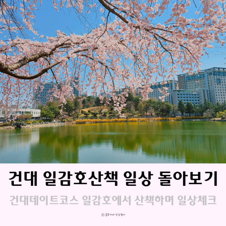 건대데이트 코스 일감호에서 산책하며 일상 돌아보기