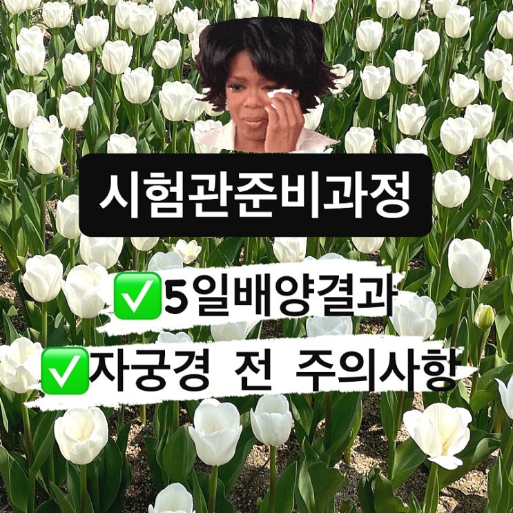  대구 미라클 여성의원 5일 배양 결과 자궁내시경 전 주의사항