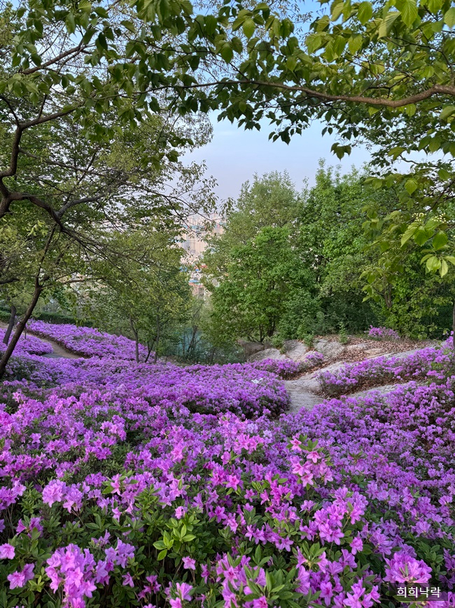  4.16.-4.17. 걷기시작