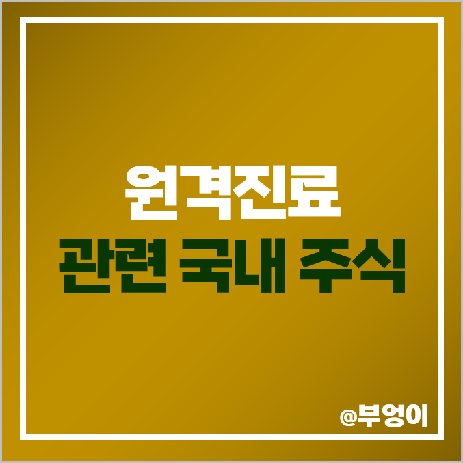 비대면 원격진료 관련주 차바이오텍 주식 알서포트 주가 비트컴퓨터 비대면 원격진료 관련주 차바이오텍 주식 알서포트 주가 비트컴퓨터