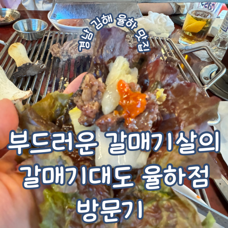 경남 김해 장유율하맛집 부드러운 갈매기살이 있는 신상 고깃집 갈매기대도 율하점 방문기