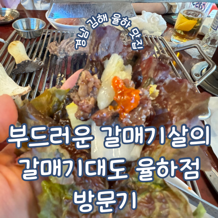  경남 김해 장유율하맛집 부드러운 갈매기살이 있는 신상 고깃집 갈매기대도 율하점 방문기