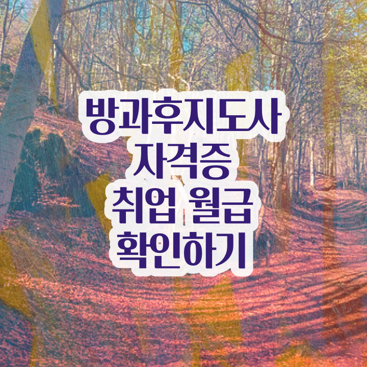 방과후요리강사 방과후지도사 인강만 듣고 공부하고 통과했던 과정