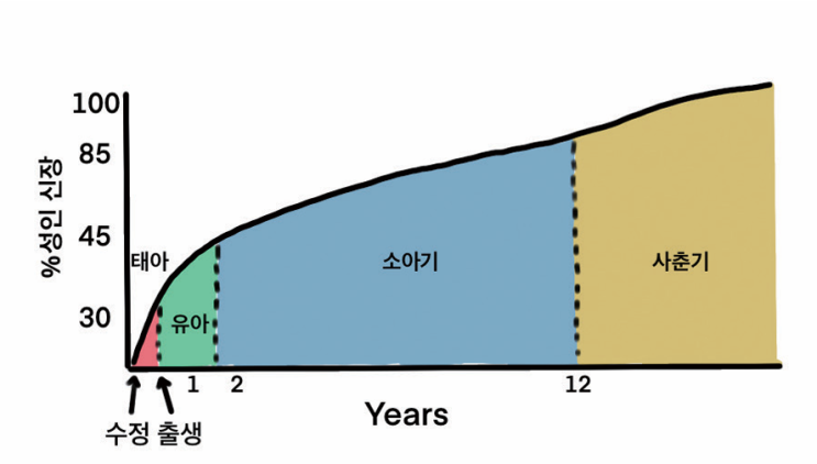  키 성장의 예측 방법과 골든타임