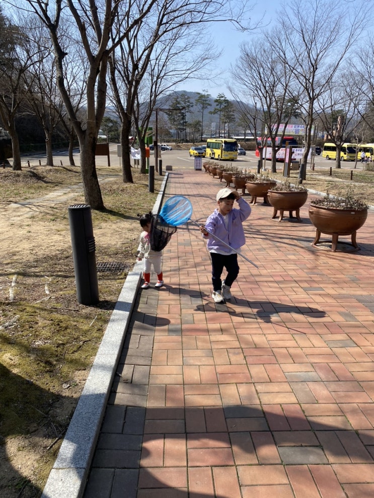  대구 근교 아이들과 산책하고 놀기 좋은 고령 대가야수목원.