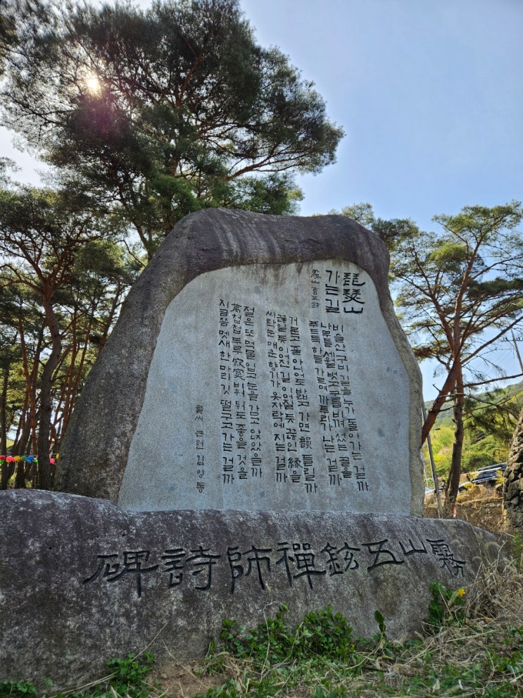  [산행일지]대구 비슬산 참꽃(진달래)축제