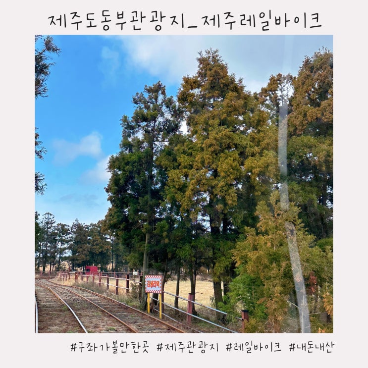  제주도 동부 관광지 :: [제주레일바이크] 할인/코스/소요시간/포토존 정리