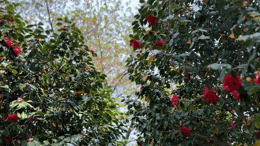  [울산 중구 관광] 학성공원 둘러보기 | 울산왜성