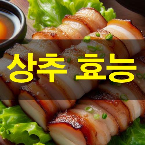  쌈 좋아하세요? 상추 효능 및 부작용 상추 요리