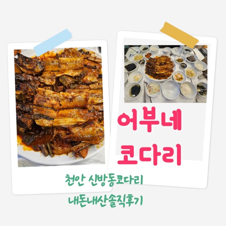  어부네코다리 천안신방코다리집 내돈내산솔직후기