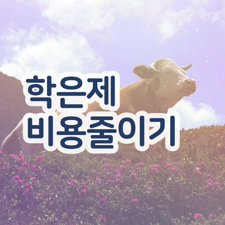  학점은행제현실 , 학점은행제 전문멘토 가 옆에 있어서 목표로하던 공부를 시작했습니다.
