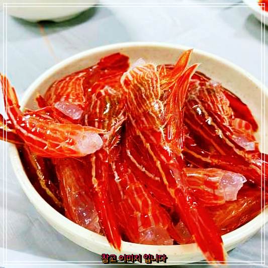  전현무계획 : 속초 동명항 아지트 꽃새우회 맛집과 독도새우 닭새우 곽튜브 엑소 수호 추천 털게 홍게 생새우 도화새우 실내포차 코너 추천